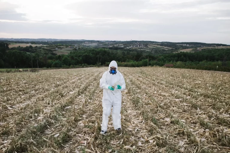 Resultados ensayos agronomía (Dic, 2024): Control químico de malezas en el cultivo de frijol.